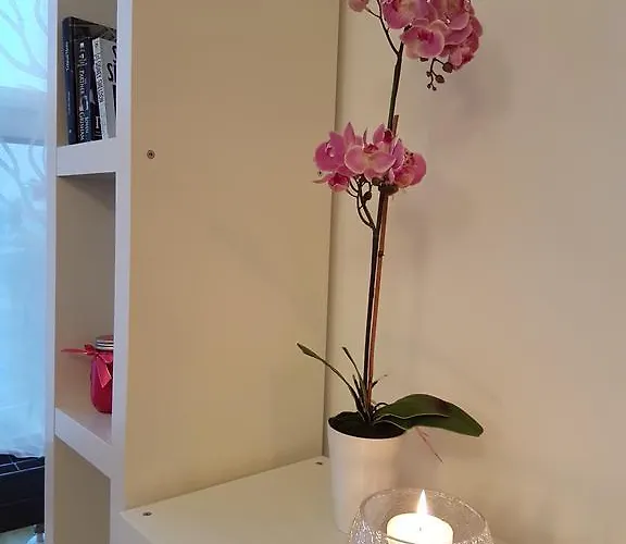 Lägenhet Rotermanni Guest