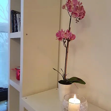 Апартаменты Rotermanni Guest